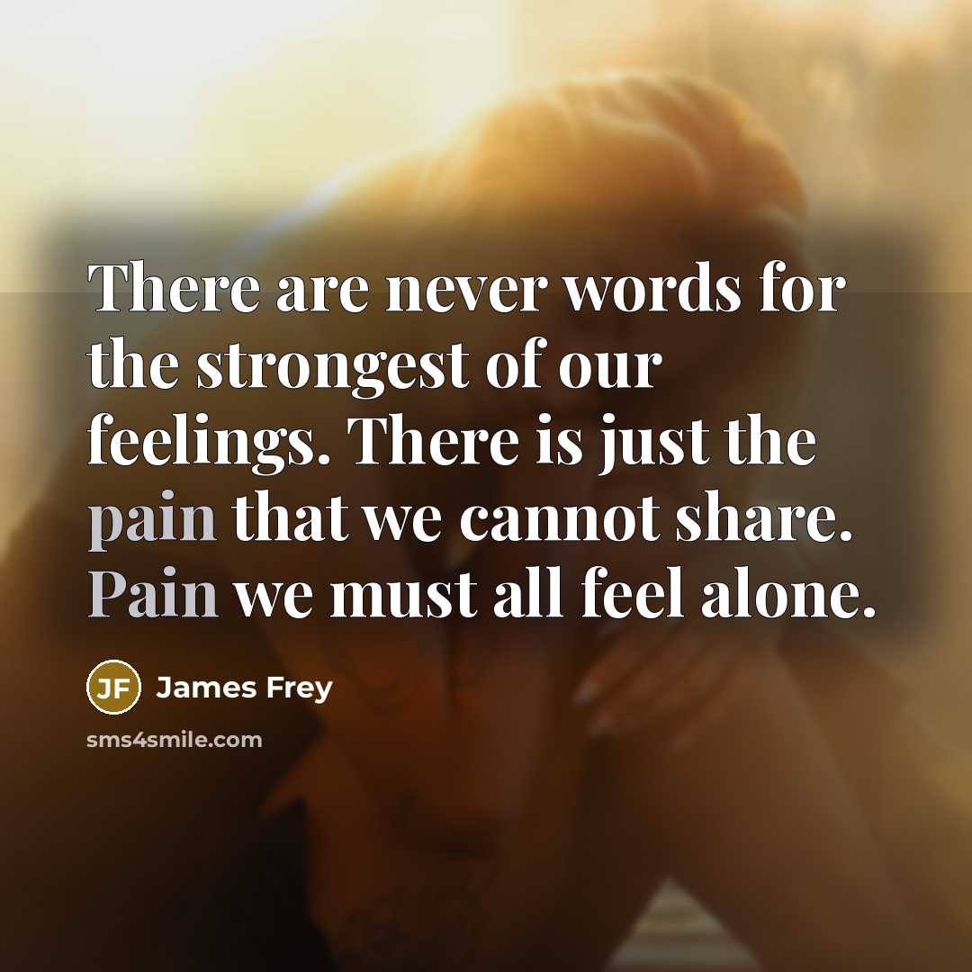 “There are never words for the strongest of our feelings.…” quote by James Frey