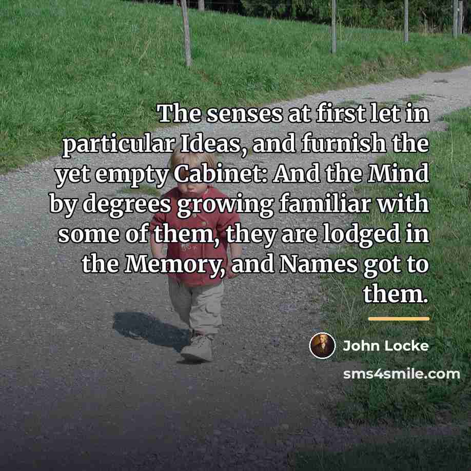 “The senses at first let in particular Ideas, and furnish…” quote by John Locke