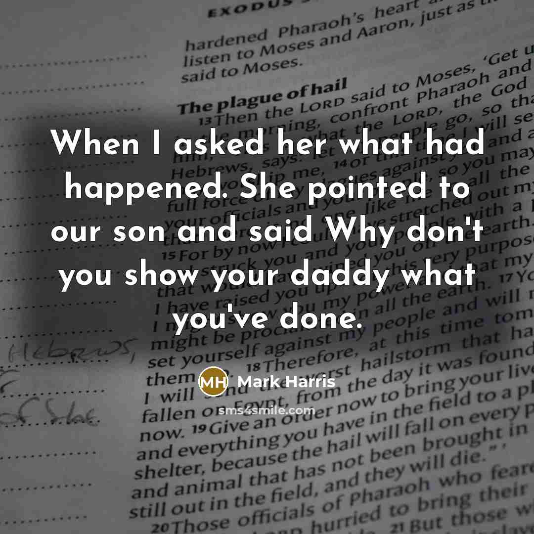 “When I asked her what had happened. She pointed to our son and said Why don't you show your daddy what you've done.” quote by Mark Harris