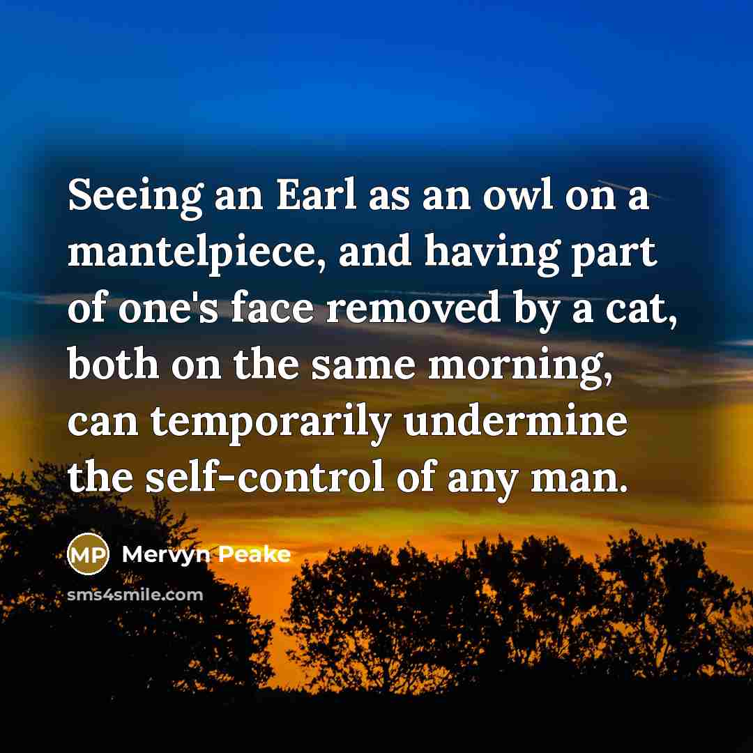 “Seeing an Earl as an owl on a mantelpiece, and…” quote by Mervyn Peake