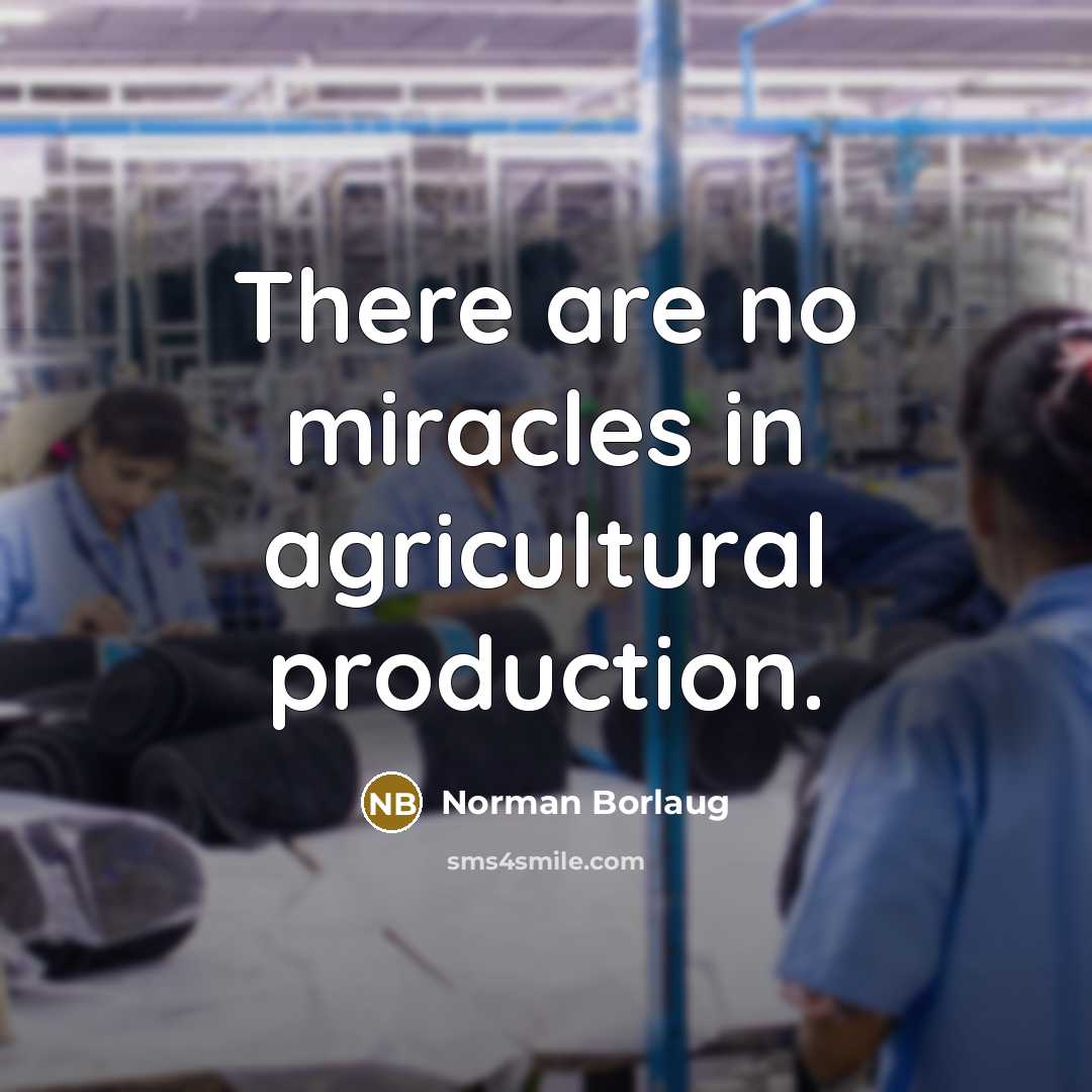 “There are no miracles in agricultural production.…” quote by Norman Borlaug
