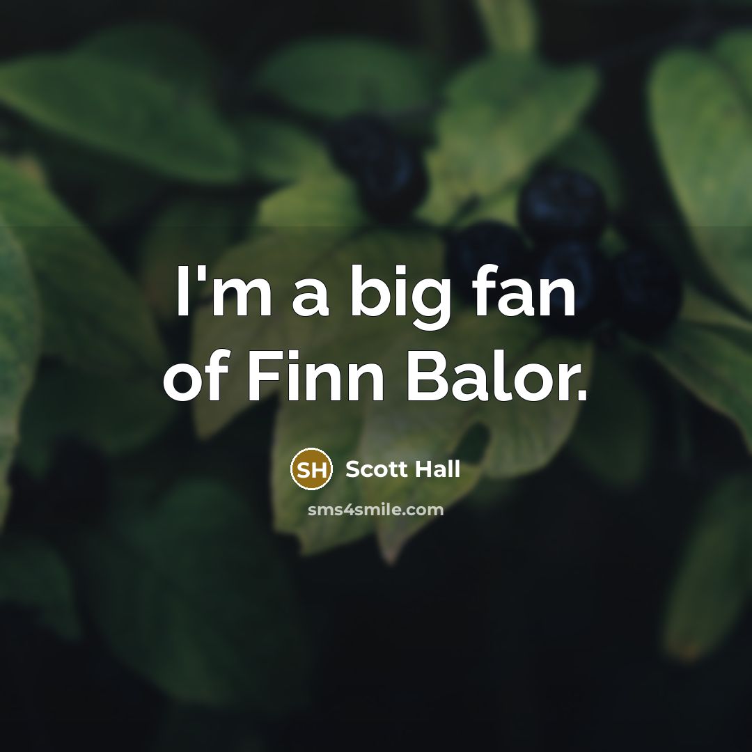“I'm a big fan of Finn Balor.…” quote by Scott Hall