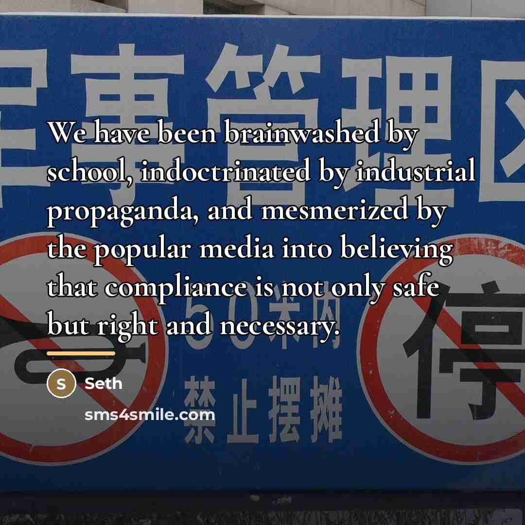 “We have been brainwashed by school, indoctrinated by industrial propaganda,…” quote by Seth