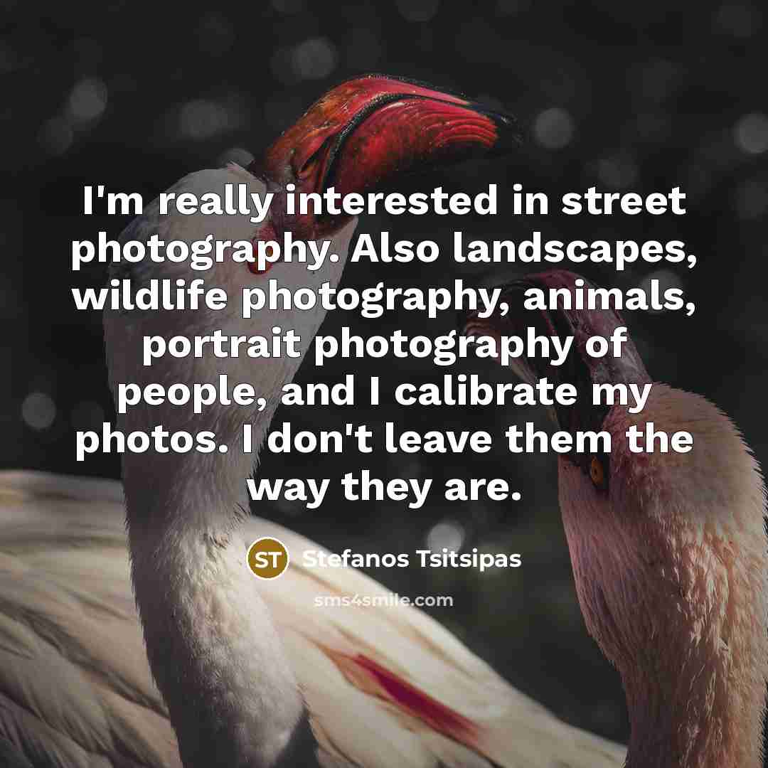 “I'm really interested in street photography. Also landscapes, wildlife photography,…” quote by Stefanos Tsitsipas