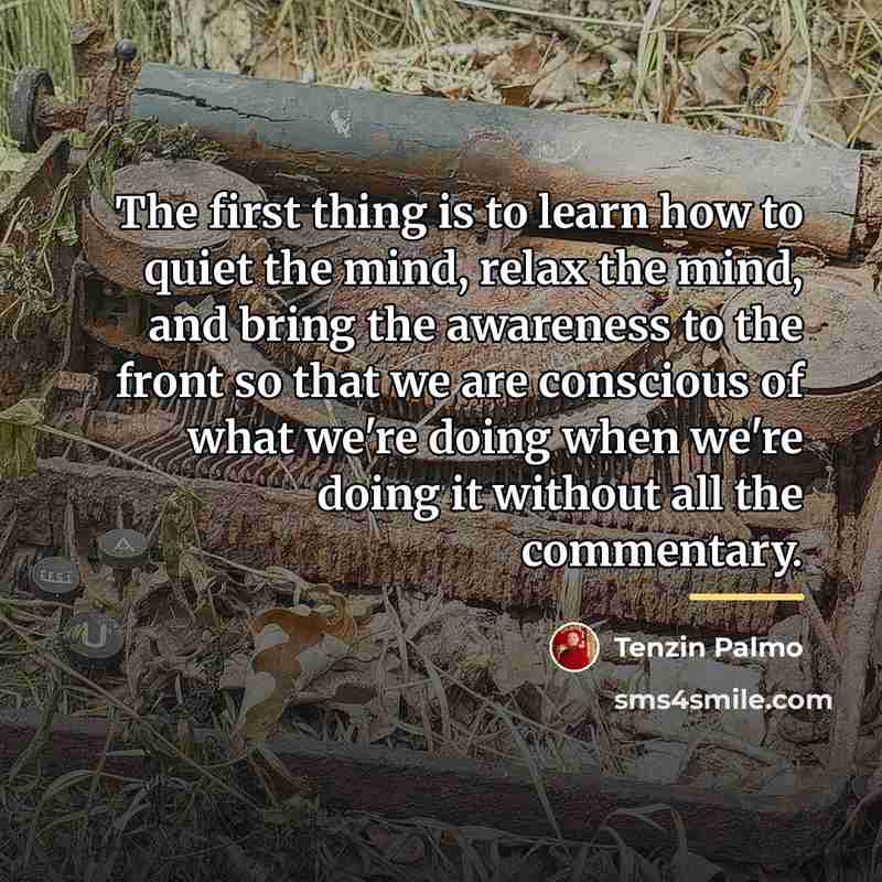 “The first thing is to learn how to quiet the…” quote by Tenzin Palmo