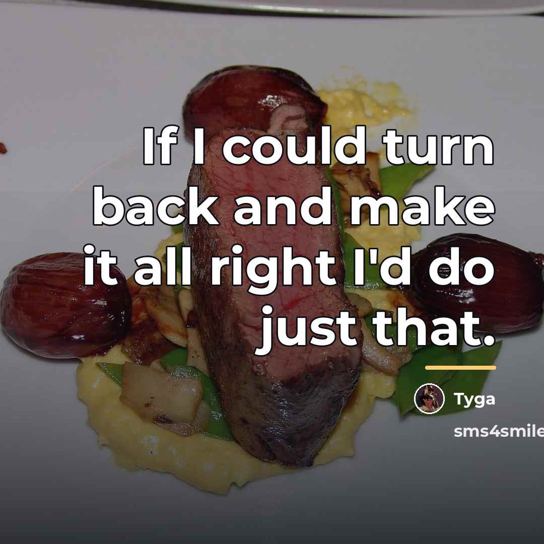 “If I could turn back and make it all right…” quote by Tyga