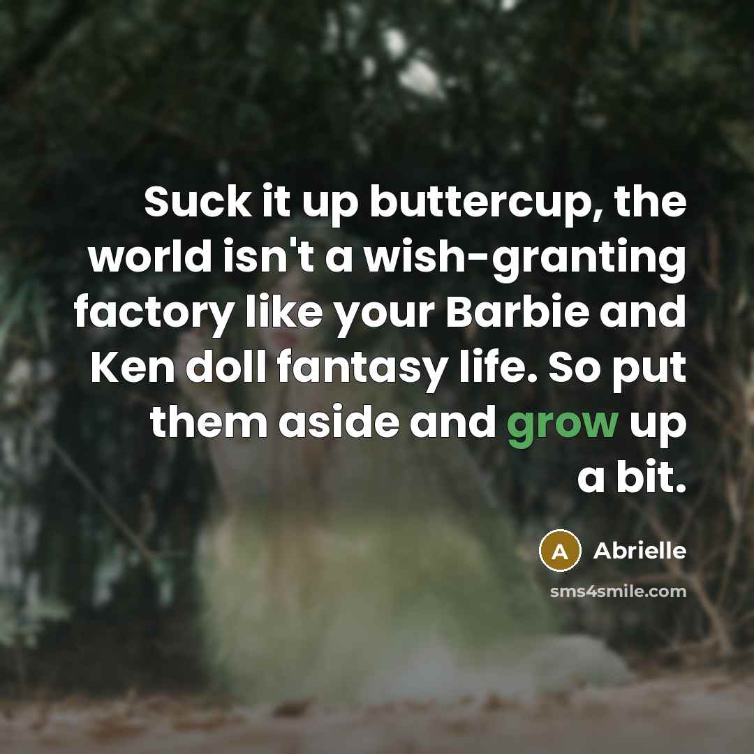 “Suck it up buttercup, the world isn't a wish-granting factory like your Barbie and Ken doll fantasy life. So put them aside and grow up a bit.” quote by Abrielle
