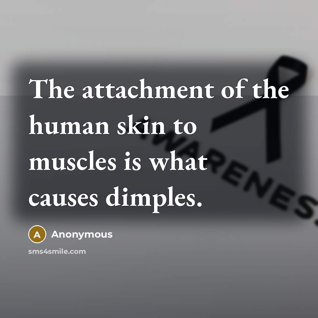 “The attachment of the human skin to muscles is what causes dimples.” quote by Anonymous