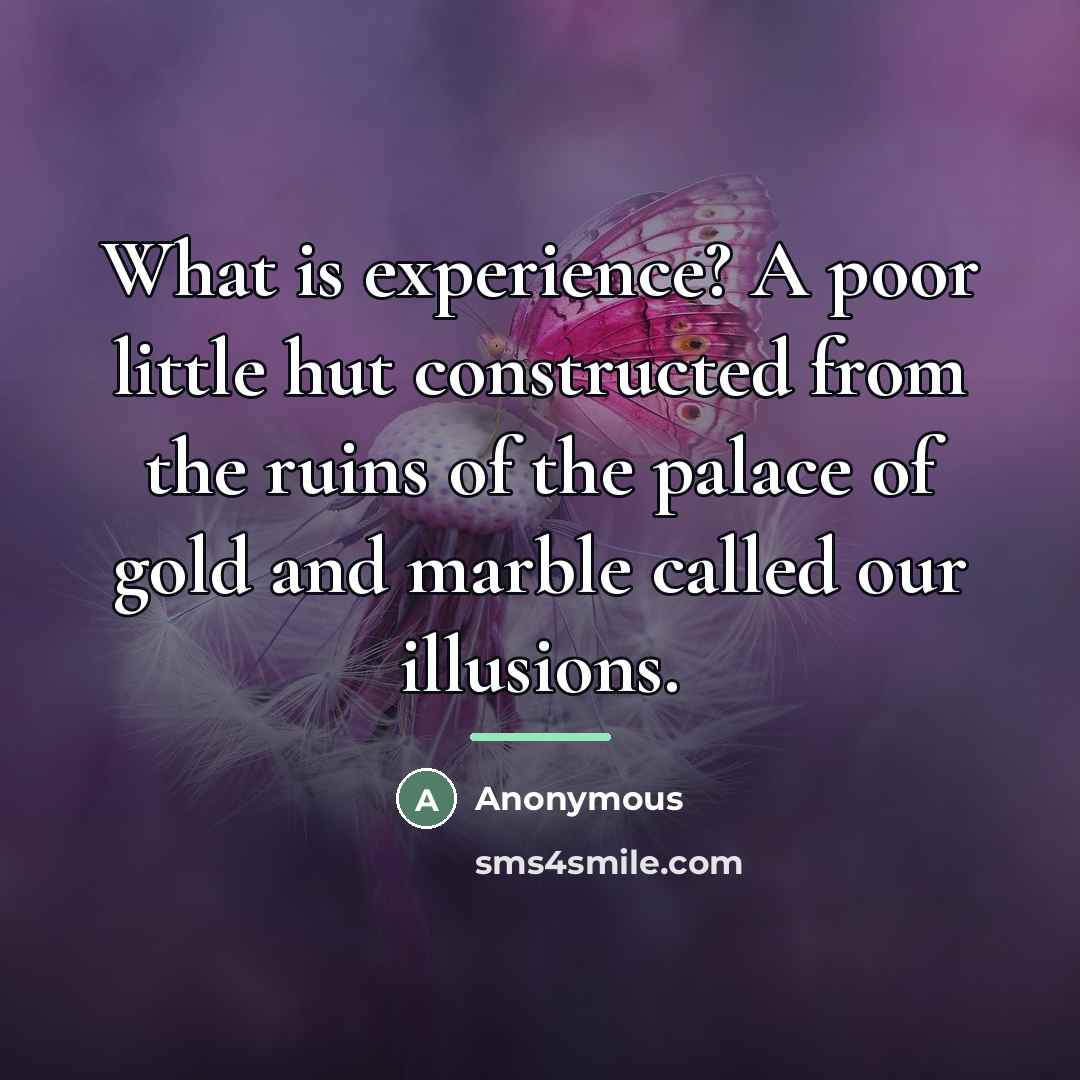 “What is experience? A poor little hut constructed from the…” quote by Anonymous