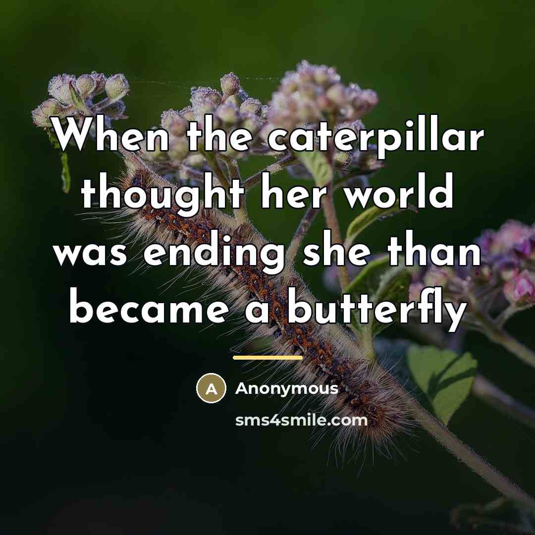 “When the caterpillar thought her world was ending she than…” quote by Anonymous