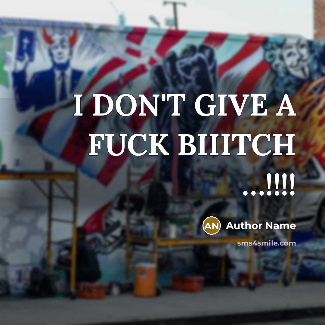 “I DON'T GIVE A FUCK BIIITCH ....!!!!…” quote by Author Name