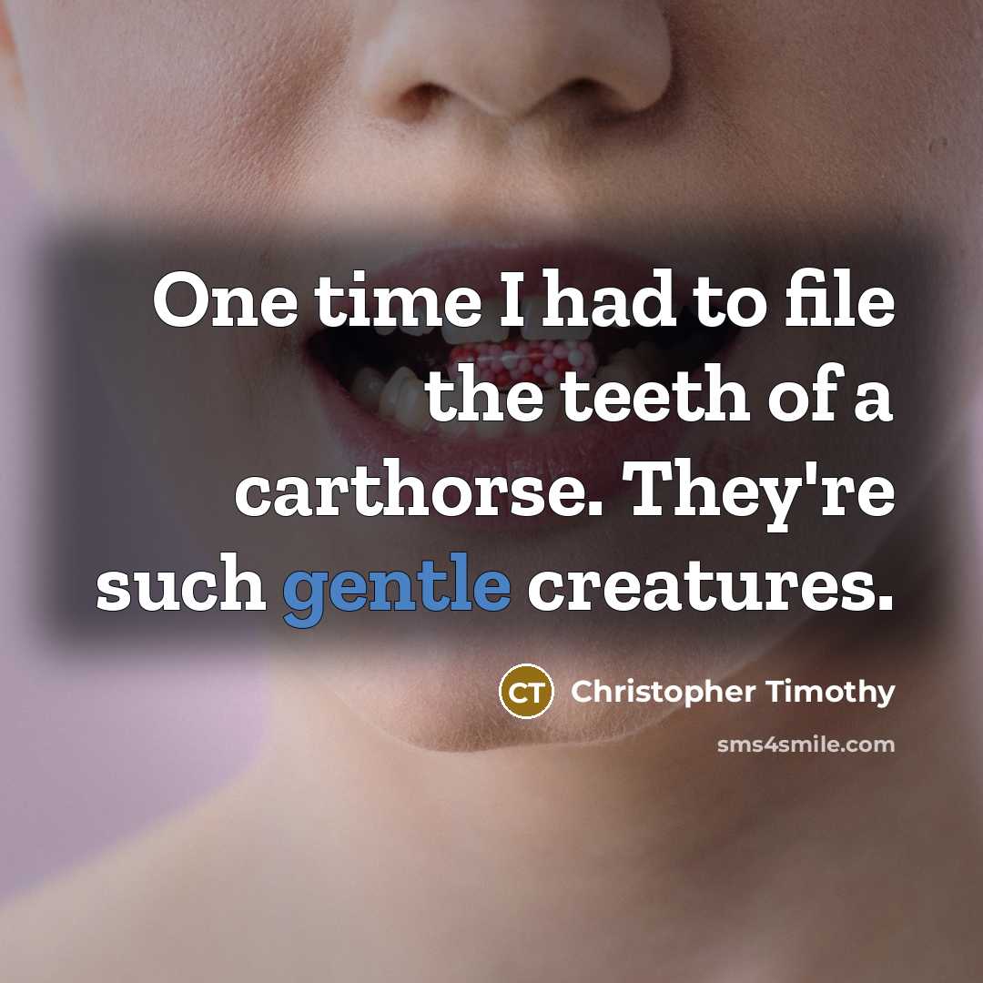 “One time I had to file the teeth of a…” quote by Christopher Timothy