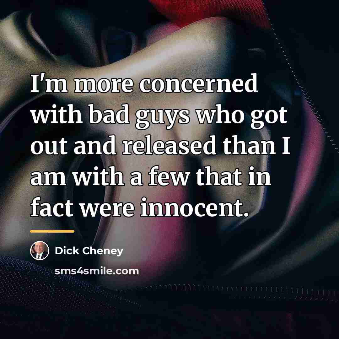 “I'm more concerned with bad guys who got out and…” quote by Dick Cheney