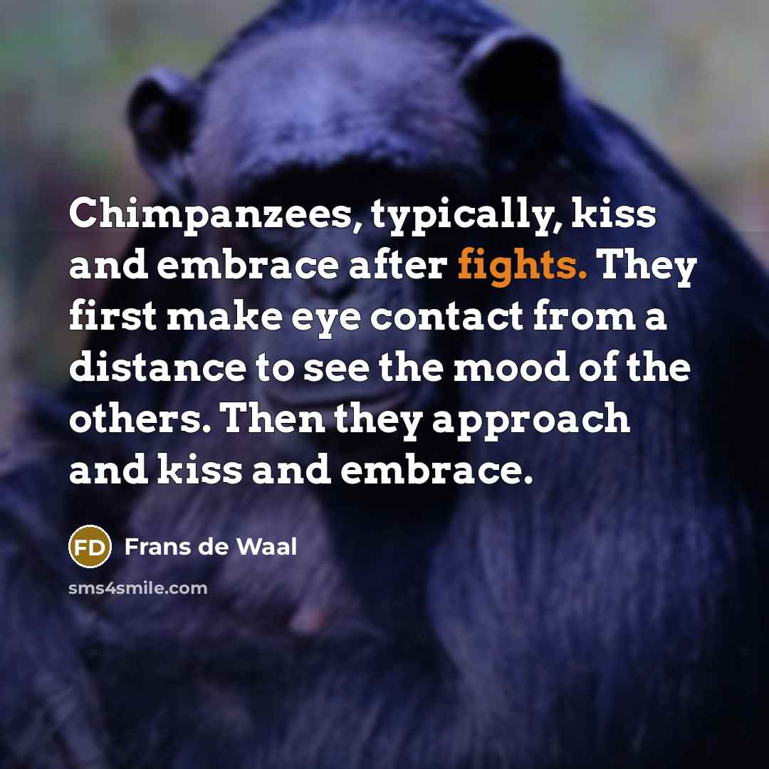 “Chimpanzees, typically, kiss and embrace after fights. They first make…” quote by Frans de Waal