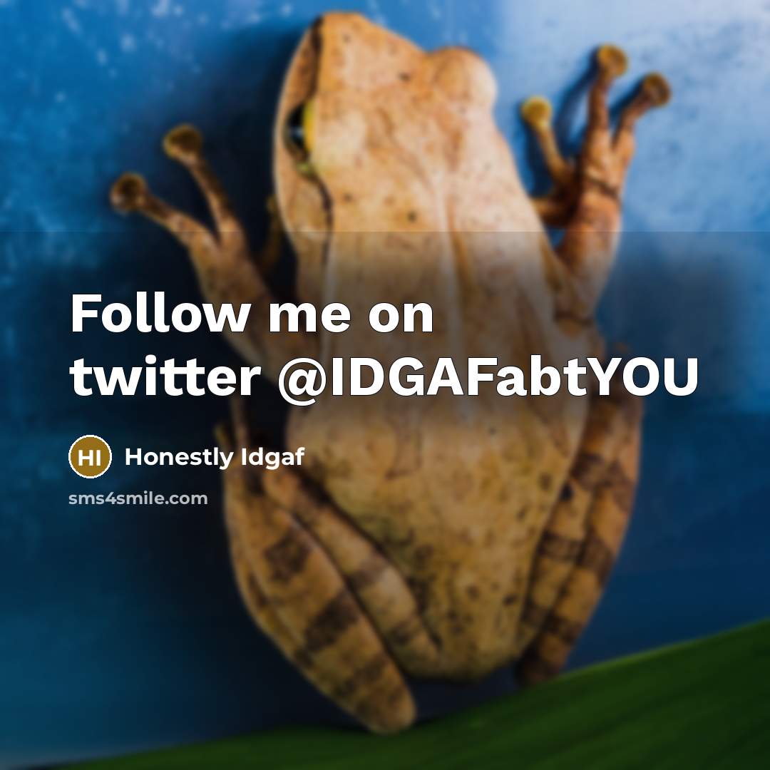 “Follow me on twitter @IDGAFabtYOU…” quote by Honestly Idgaf