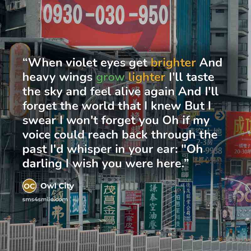 “When violet eyes get brighter And heavy wings grow lighter I'll taste the sky and feel alive again And I'll forget the world that I knew But I swear I won't forget you Oh if my voice could reach back through the past I'd whisper in your ear: "Oh darling I wish you were here.” quote by Owl City