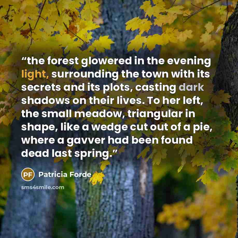 “the forest glowered in the evening light, surrounding the town with its secrets and its plots, casting dark shadows on their lives. To her left, the small meadow, triangular in shape, like a wedge cut out of a pie, where a gavver had been found dead last spring.” quote by Patricia Forde