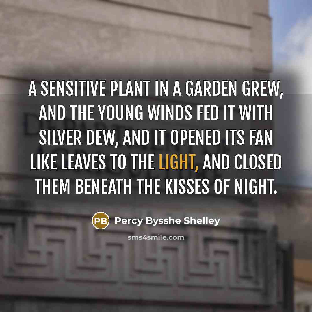 “A sensitive plant in a garden grew, And the young…” quote by Percy Bysshe Shelley