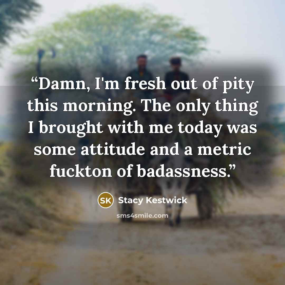 “Damn, I'm fresh out of pity this morning. The only thing I brought with me today was some attitude and a metric fuckton of badassness.” quote by Stacy Kestwick