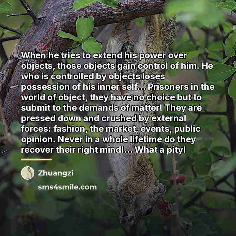 “When he tries to extend his power over objects, those…” quote by Zhuangzi