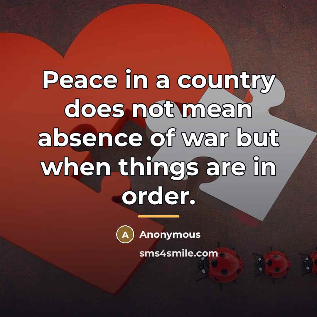 “Peace in a country does not mean absence of war…” quote by Anonymous