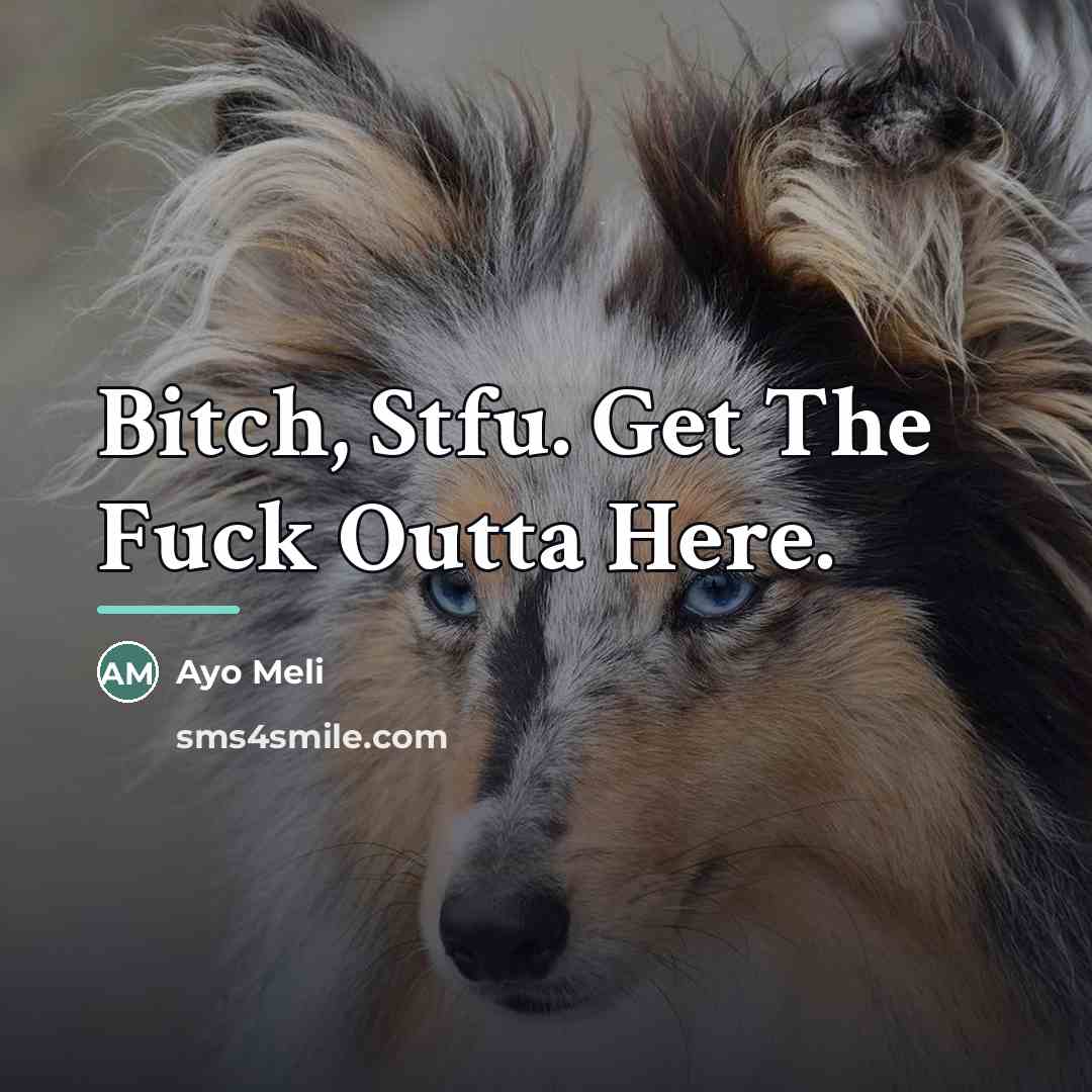 “Bitch, Stfu. Get The Fuck Outta Here.…” quote by Ayo Meli