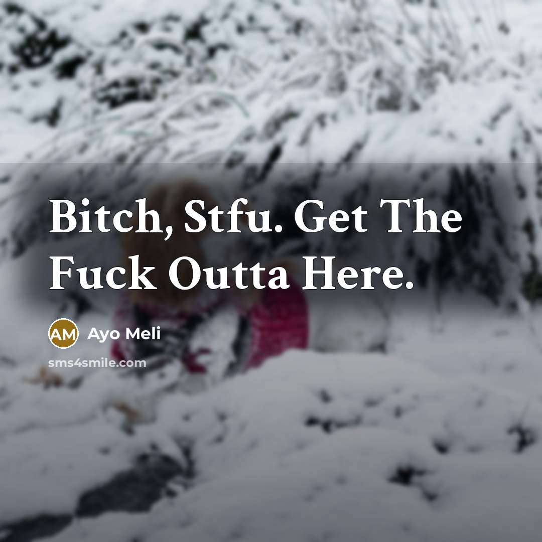 “Bitch, Stfu. Get The Fuck Outta Here.” quote by Ayo Meli