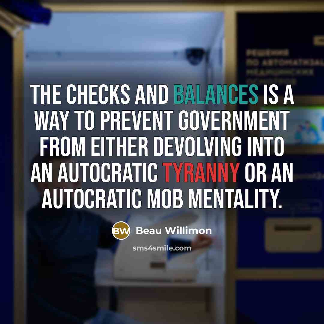 “The checks and balances is a way to prevent government from either devolving into an autocratic tyranny or an autocratic mob mentality.” quote by Beau Willimon
