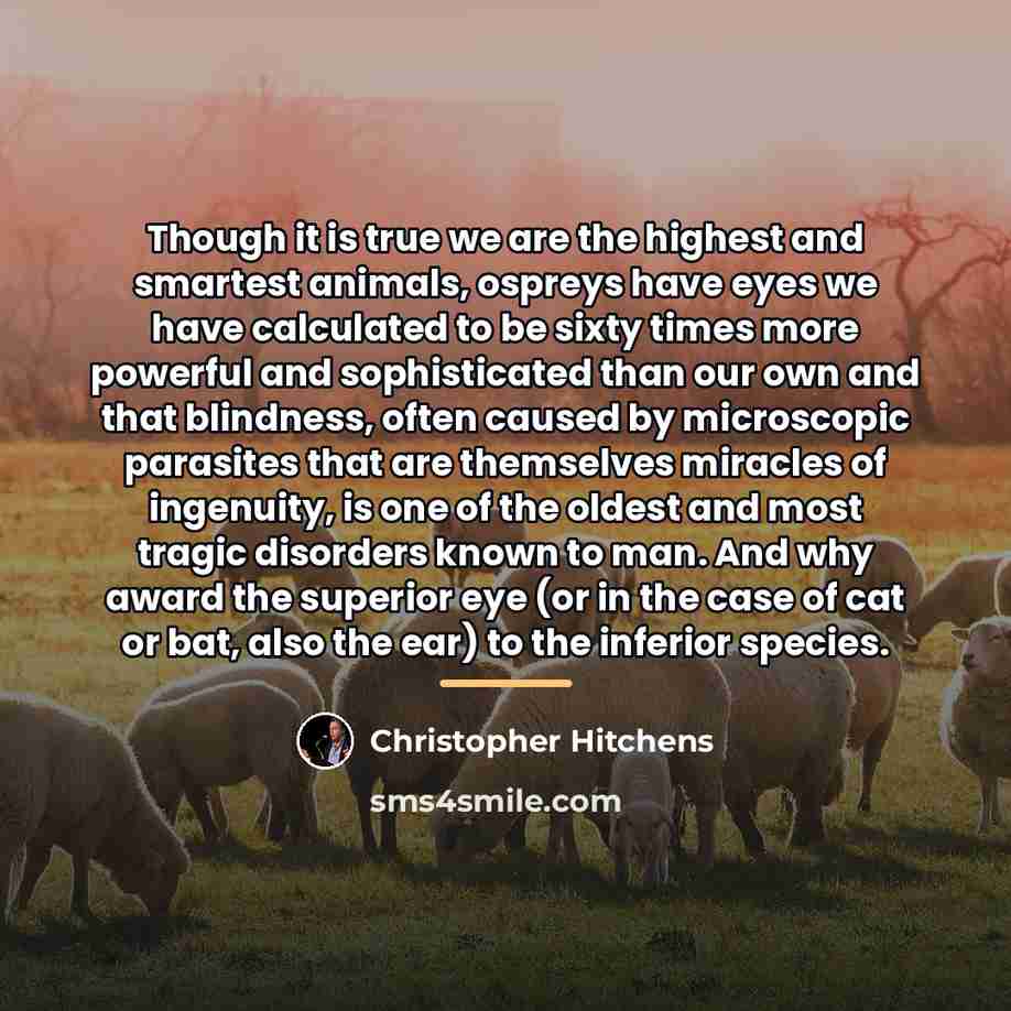 “Though it is true we are the highest and smartest…” quote by Christopher Hitchens