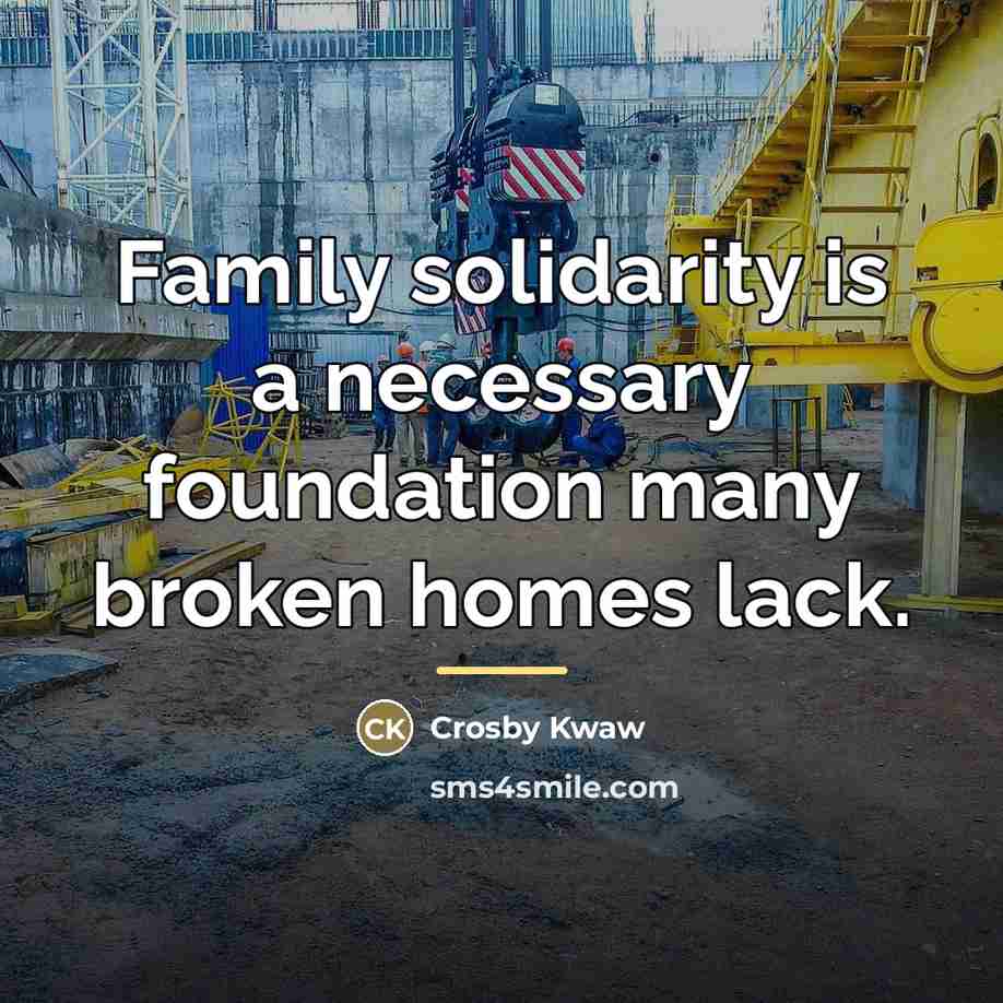 “Family solidarity is a necessary foundation many broken homes lack.…” quote by Crosby Kwaw