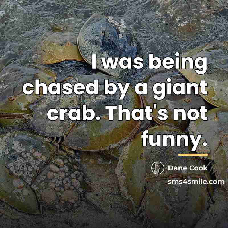 “I was being chased by a giant crab. That's not…” quote by Dane Cook