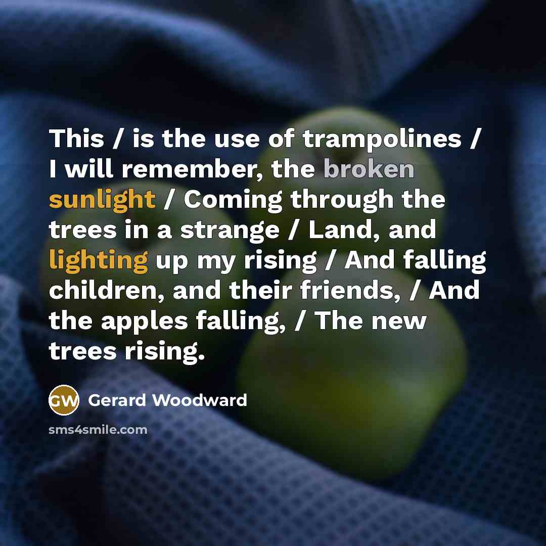 “This / is the use of trampolines / I will remember, the broken sunlight / Coming through the trees in a strange / Land, and lighting up my rising / And falling children, and their friends, / And the apples falling, / The new trees rising.” quote by Gerard Woodward