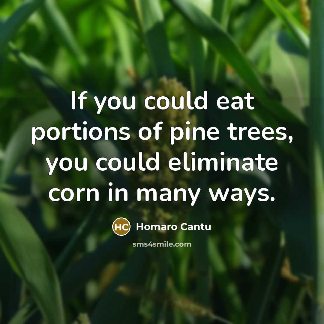“If you could eat portions of pine trees, you could…” quote by Homaro Cantu
