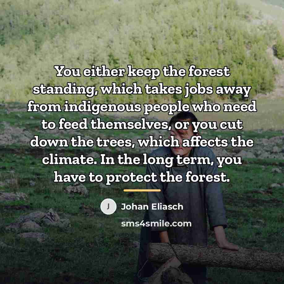 “You either keep the forest standing, which takes jobs away…” quote by Johan Eliasch