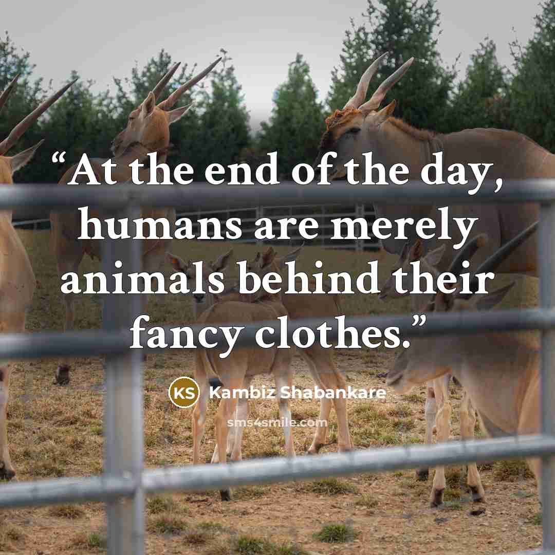 “At the end of the day, humans are merely animals behind their fancy clothes.” quote by Kambiz Shabankare