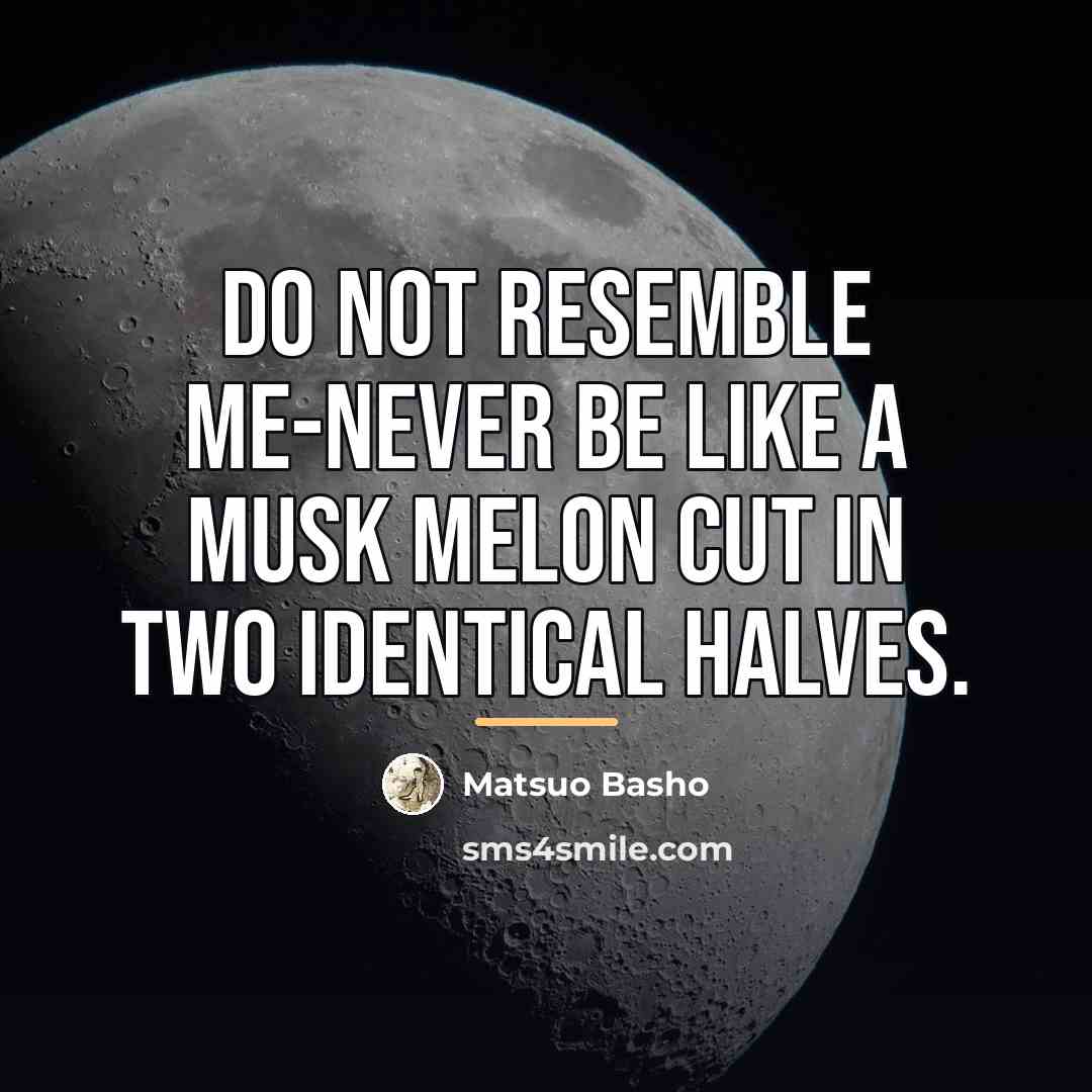 “Do not resemble me-Never be like a musk melon Cut…” quote by Matsuo Basho