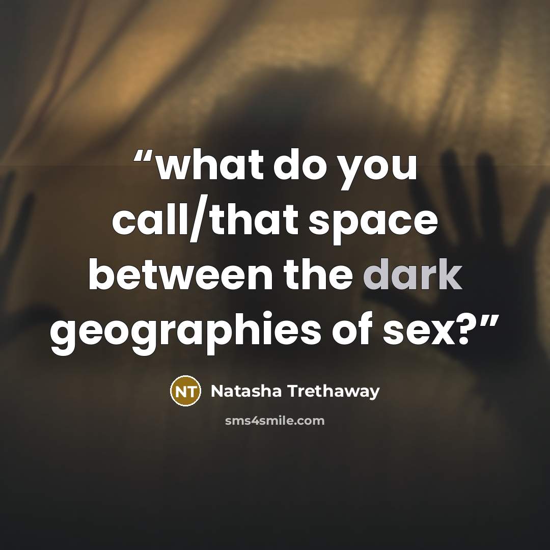 “what do you call/that space between the dark geographies of sex?” quote by Natasha Trethaway