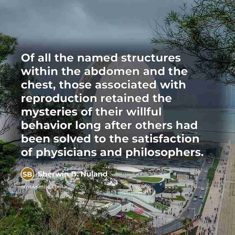 “Of all the named structures within the abdomen and the…” quote by Sherwin B. Nuland