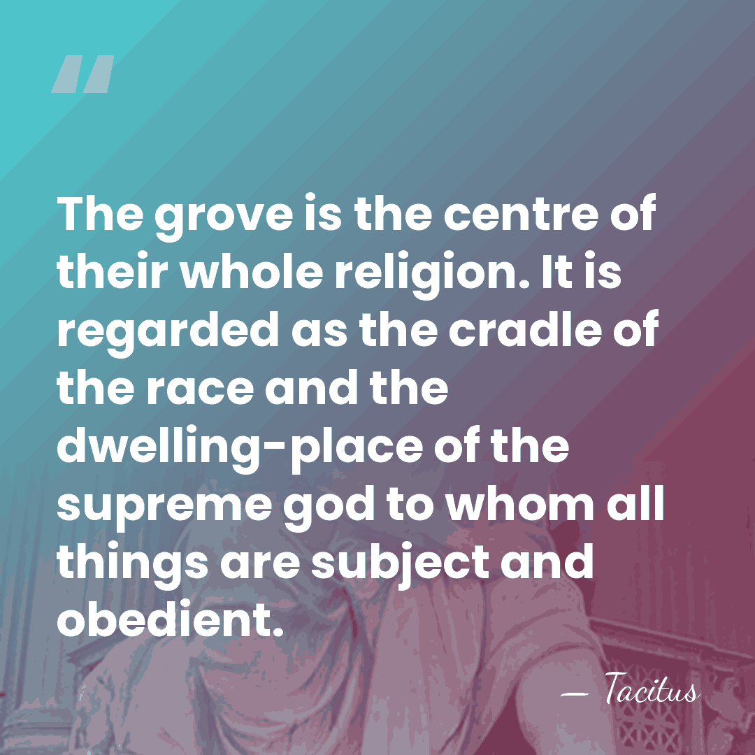 The grove is the centre of their whole religion. It is regarded&hellip; - Tacitus