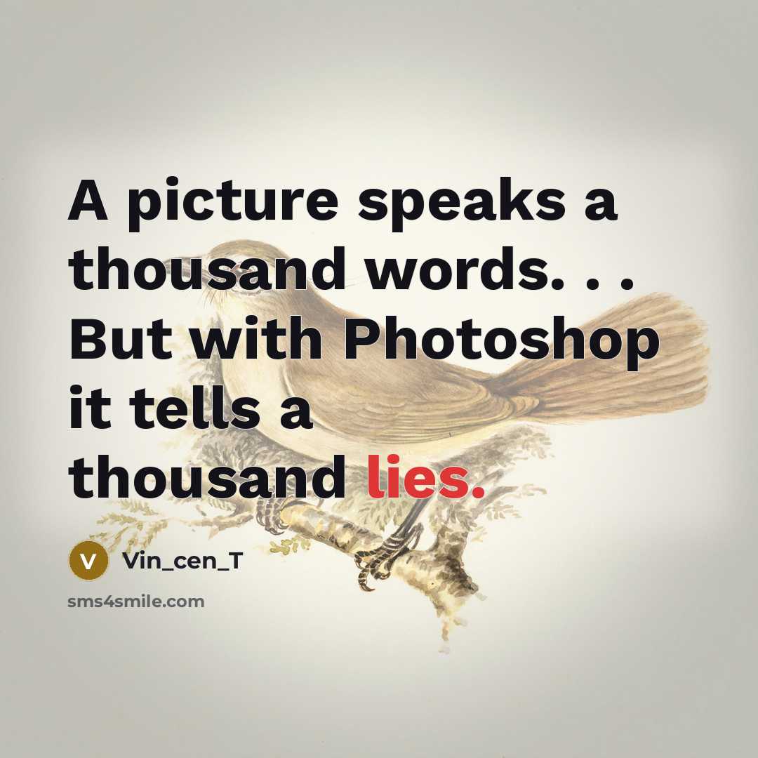 “A picture speaks a thousand words. . . But with Photoshop it tells a thousand lies.” quote by Vin_cen_T