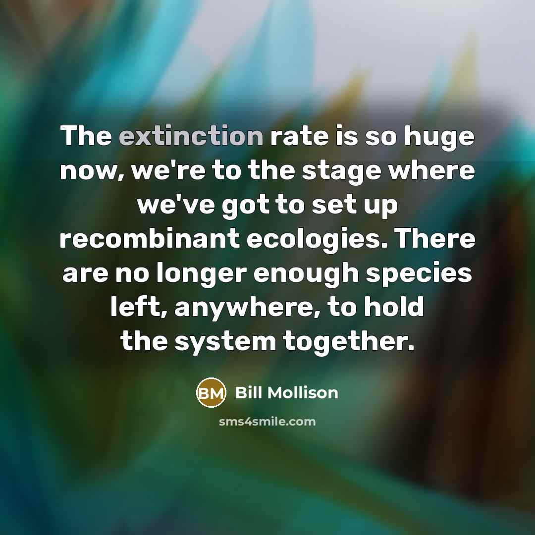 “The extinction rate is so huge now, we're to the…” quote by Bill Mollison
