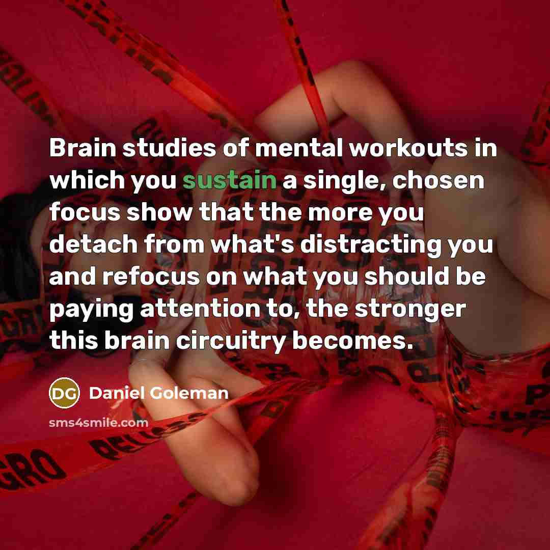 “Brain studies of mental workouts in which you sustain a…” quote by Daniel Goleman