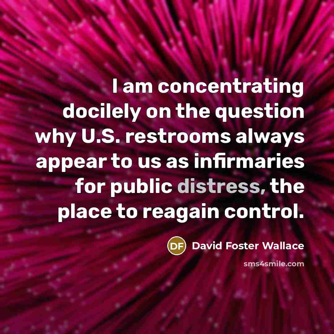 “I am concentrating docilely on the question why U.S. restrooms…” quote by David Foster Wallace