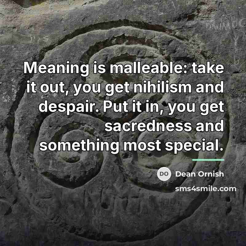 “Meaning is malleable: take it out, you get nihilism and…” quote by Dean Ornish