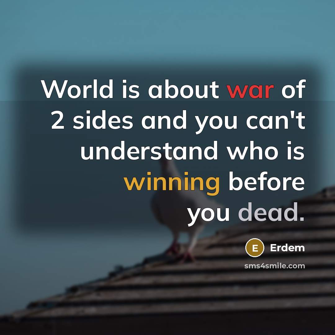 “World is about war of 2 sides and you can't understand who is winning before you dead.” quote by Erdem