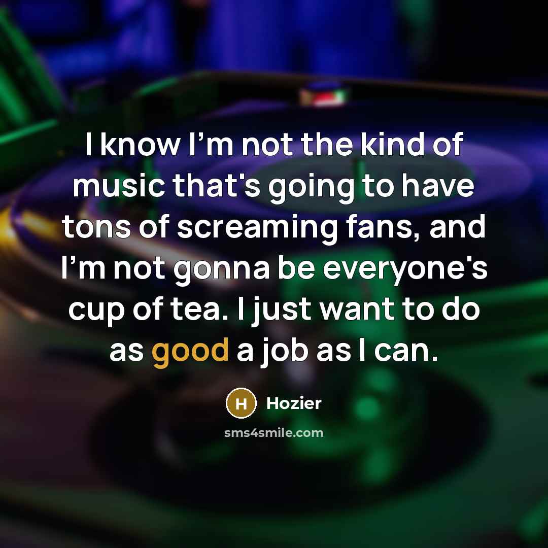 “I know I'm not the kind of music that's going to have tons of screaming fans, and I'm not gonna be everyone's cup of tea. I just want to do as good a job as I can.” quote by Hozier