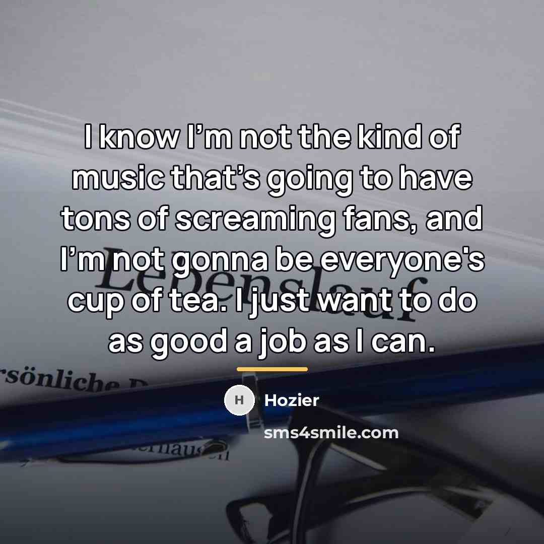 “I know I'm not the kind of music that's going…” quote by Hozier