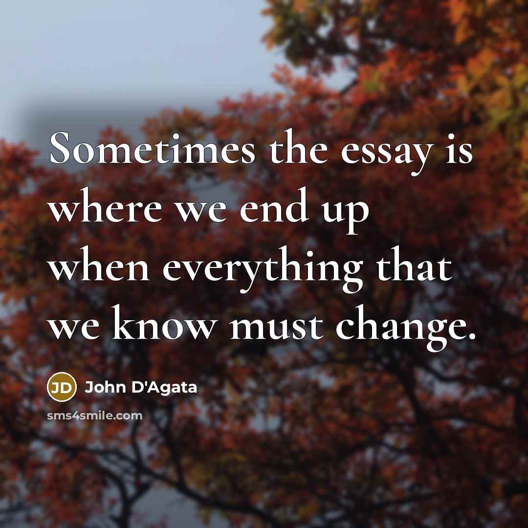 “Sometimes the essay is where we end up when everything…” quote by John D'Agata