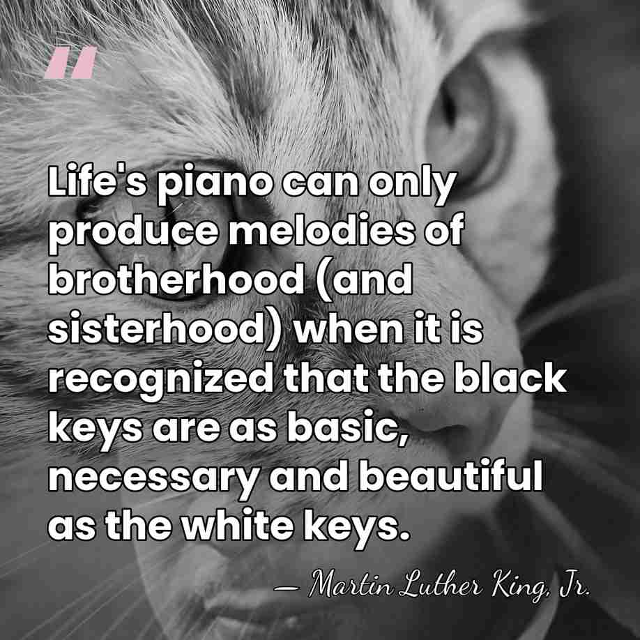 Life's piano can only produce melodies of brotherhood (and sisterhood) when it&hellip; - Martin Luther King, Jr.