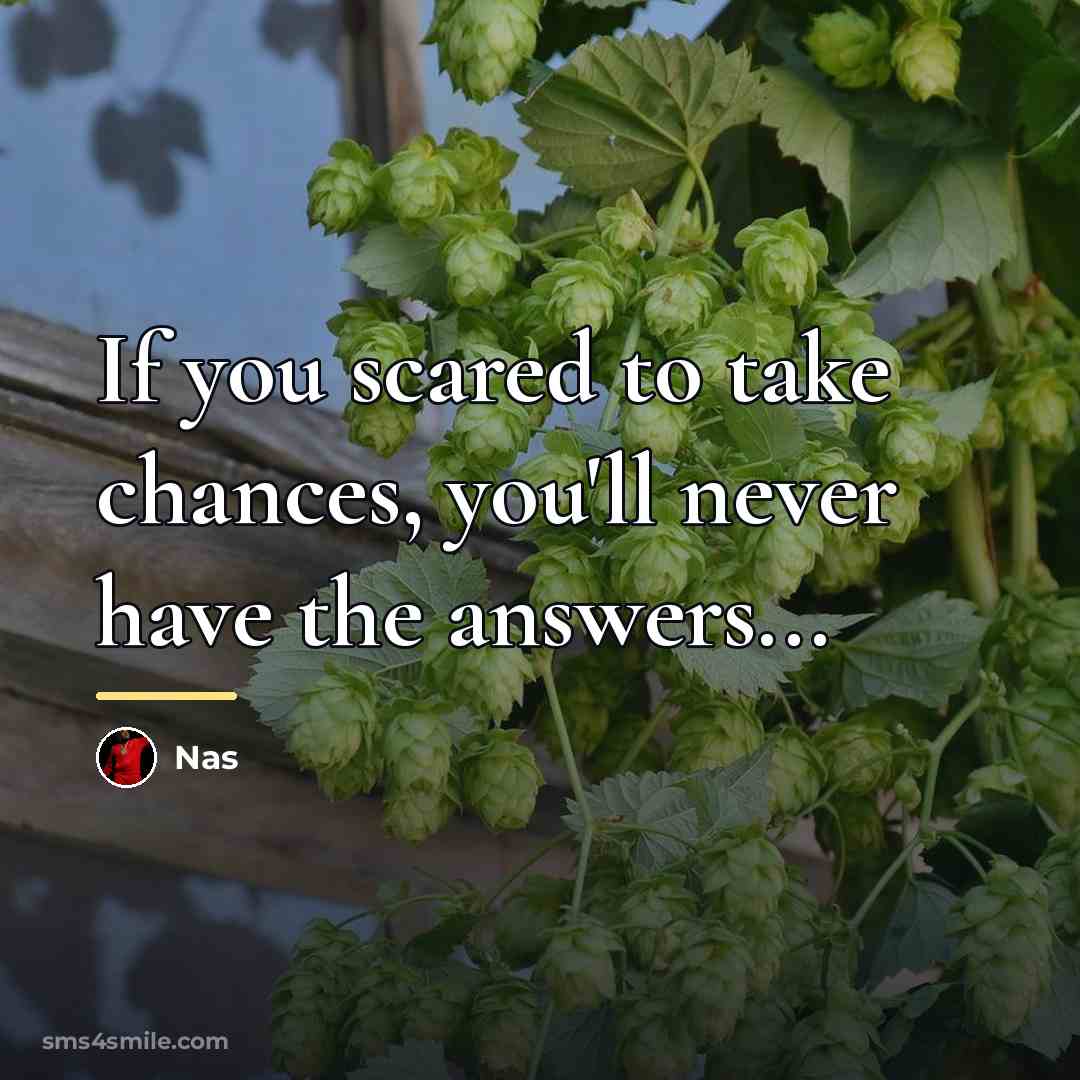 “If you scared to take chances, you'll never have the…” quote by Nas